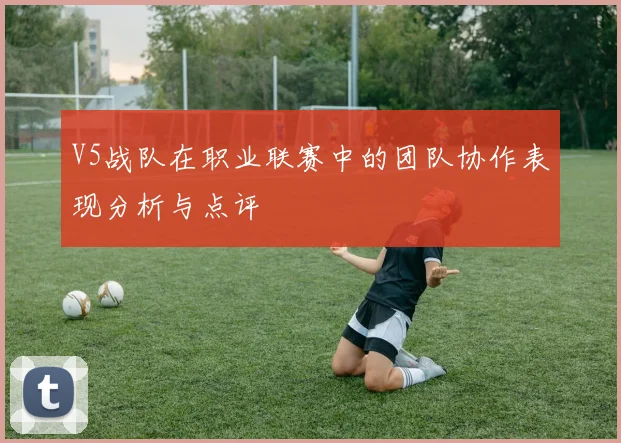 V5战队在职业联赛中的团队协作表现分析与点评