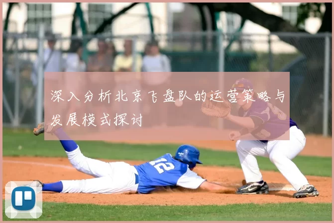 深入分析北京飞盘队的运营策略与发展模式探讨