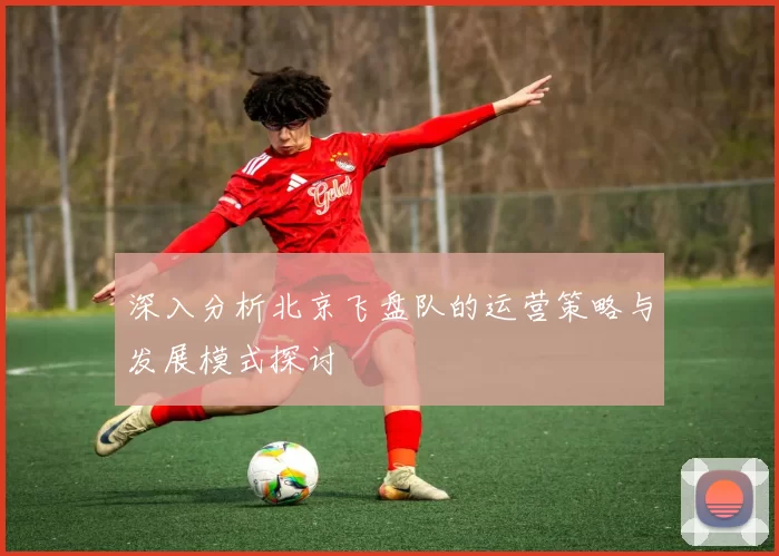 深入分析北京飞盘队的运营策略与发展模式探讨