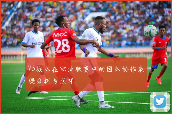 V5战队在职业联赛中的团队协作表现分析与点评