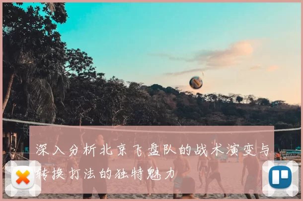深入分析北京飞盘队的战术演变与转换打法的独特魅力