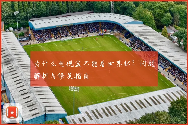 为什么电视盒不能看世界杯?问题解析与修复指南